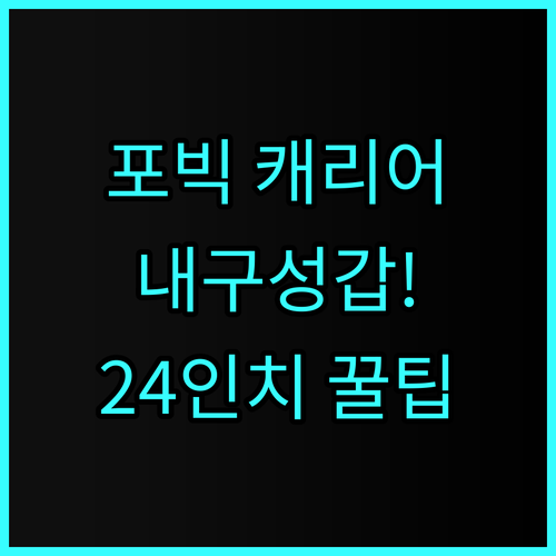 포빅 여행용 캐리어 24인치 내구성 좋은 제품 추천